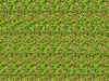 cloverleaf.jpg (287186 bytes)