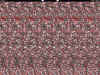 aroom.jpg (64915 bytes)