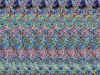 rollerblades.jpg (66914 bytes)